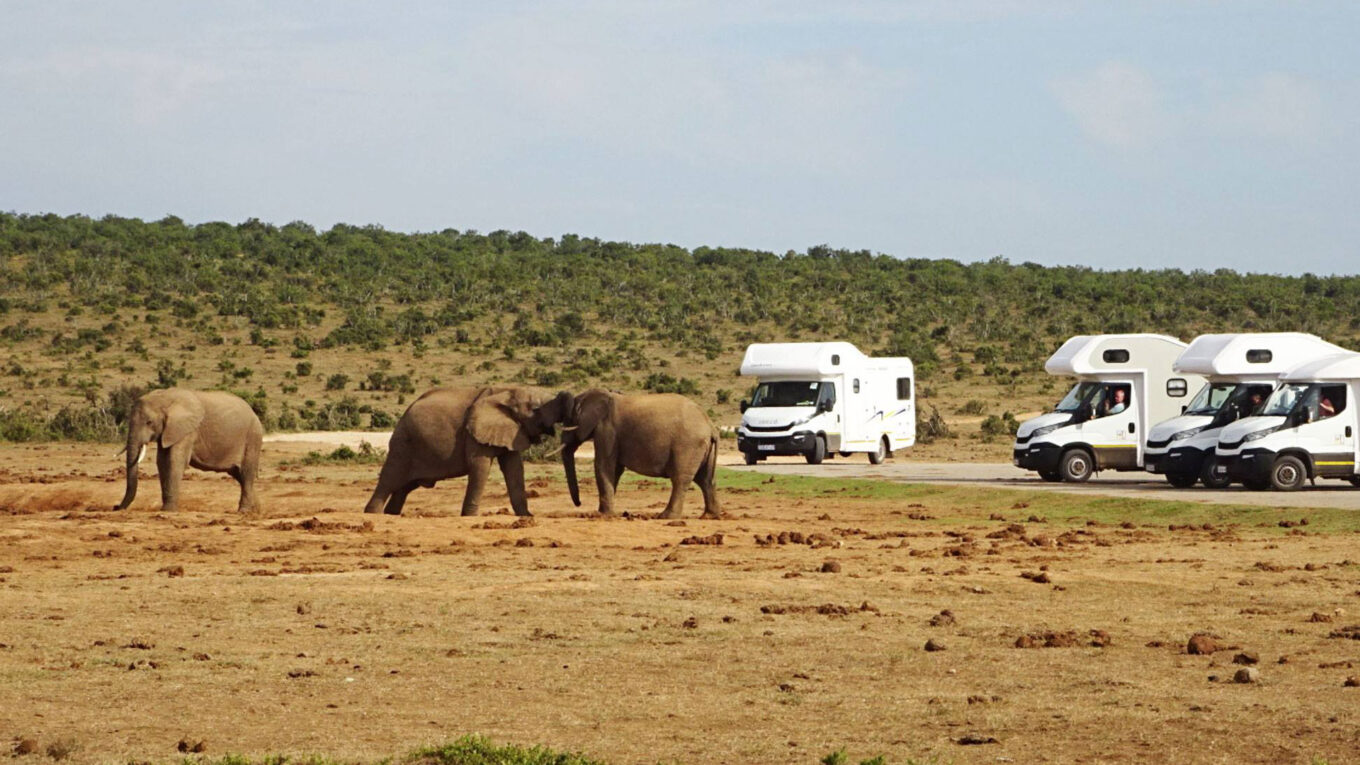 Autocamper i Sydafrika og Namibia. Den bedste autocamper til familier eller par der vil have god plads og alle funktioner med ombord på et roadtrip i det sydlige Afrika.