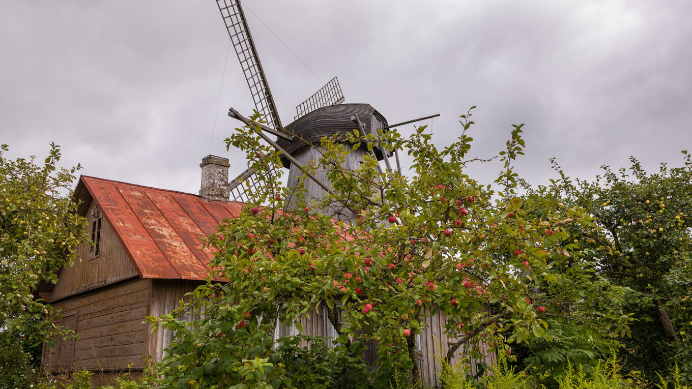 Estland og vindmøller i Saaremaa - tag på autocamperferie og oplev Estlands højdepunkter.