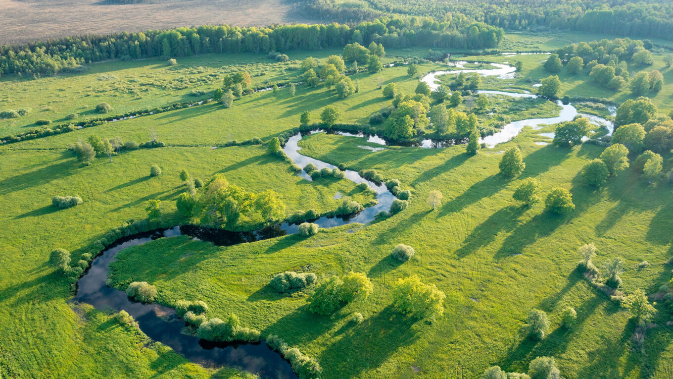 Estland og nationalparken Soomaa hvor floden oversvømmer området - tag på autocamperferie og oplev Estlands højdepunkter.