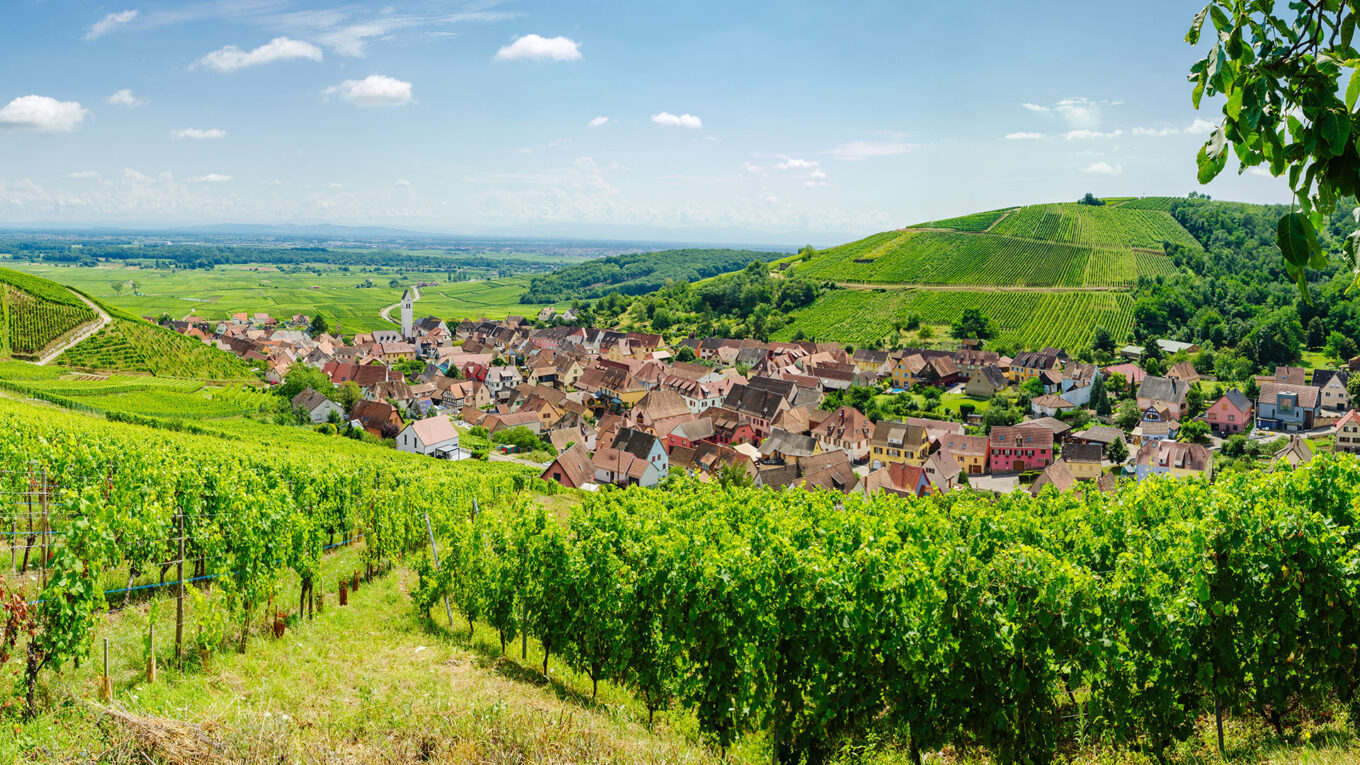 Udsigt over vinmarker og landsby i Alsace med pastelfarvede huse og kirketårn