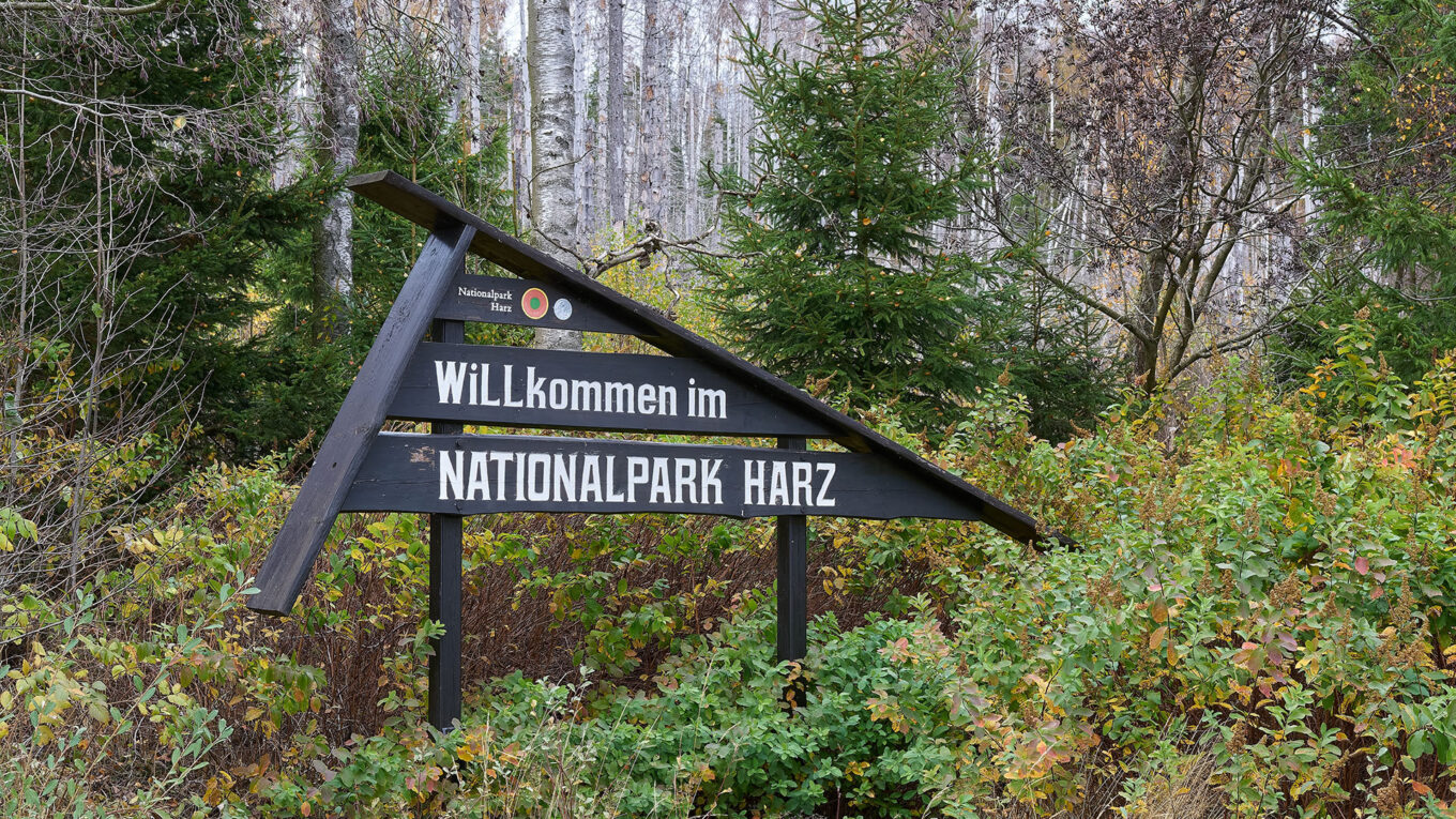 Velkomstskilt til Nationalpark Harz i skovklædt omgivelser – oplagt destination på campingruten